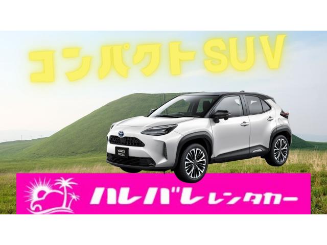 コンパクトSUV車♬!免責補償込みの価格！最新のナビ、ETC、Bluetooth付き☆