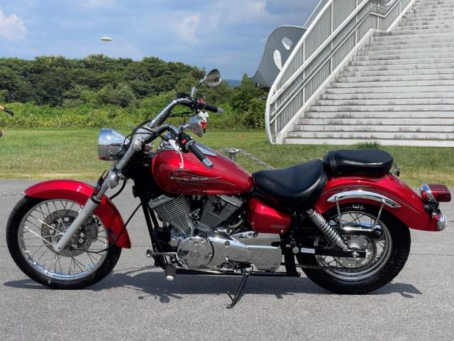 매그나 250