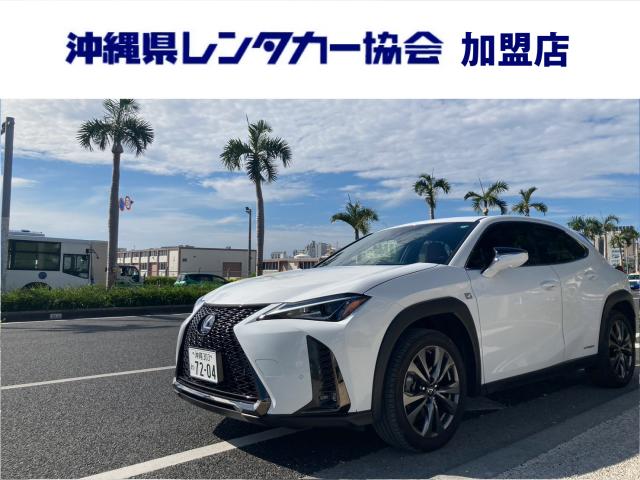 레쿠사스UX250h F 스포츠