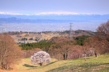 寒河江・月山のドライブスポット