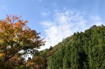 栗原・登米のドライブスポット