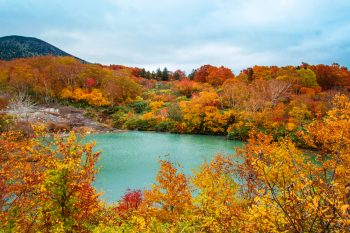 十和田湖・大館・鹿角のドライブスポット