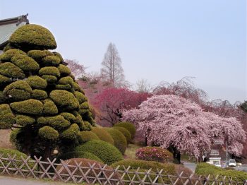 松島・塩竈のドライブスポット