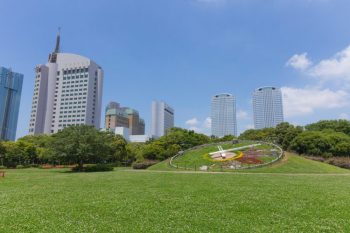 佐倉・八街のドライブスポット