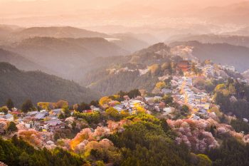吉野・奥吉野のドライブスポット