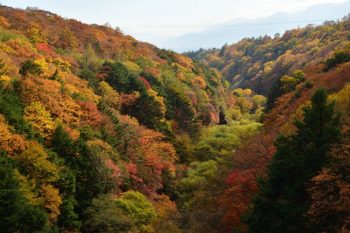 八ヶ岳・小淵沢・清里・大泉のドライブスポット