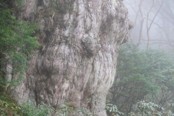 霧島のドライブスポット